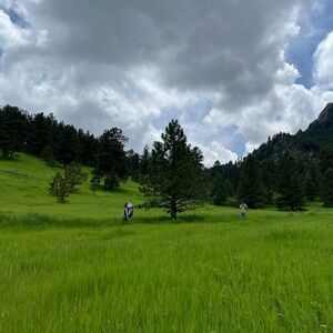 Find new closet favorites from Hillside Design.